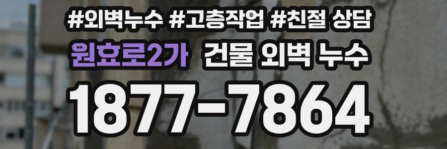 원효로2가 건물 외벽 누수