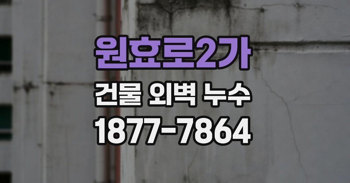 원효로2가 건물 외벽 누수