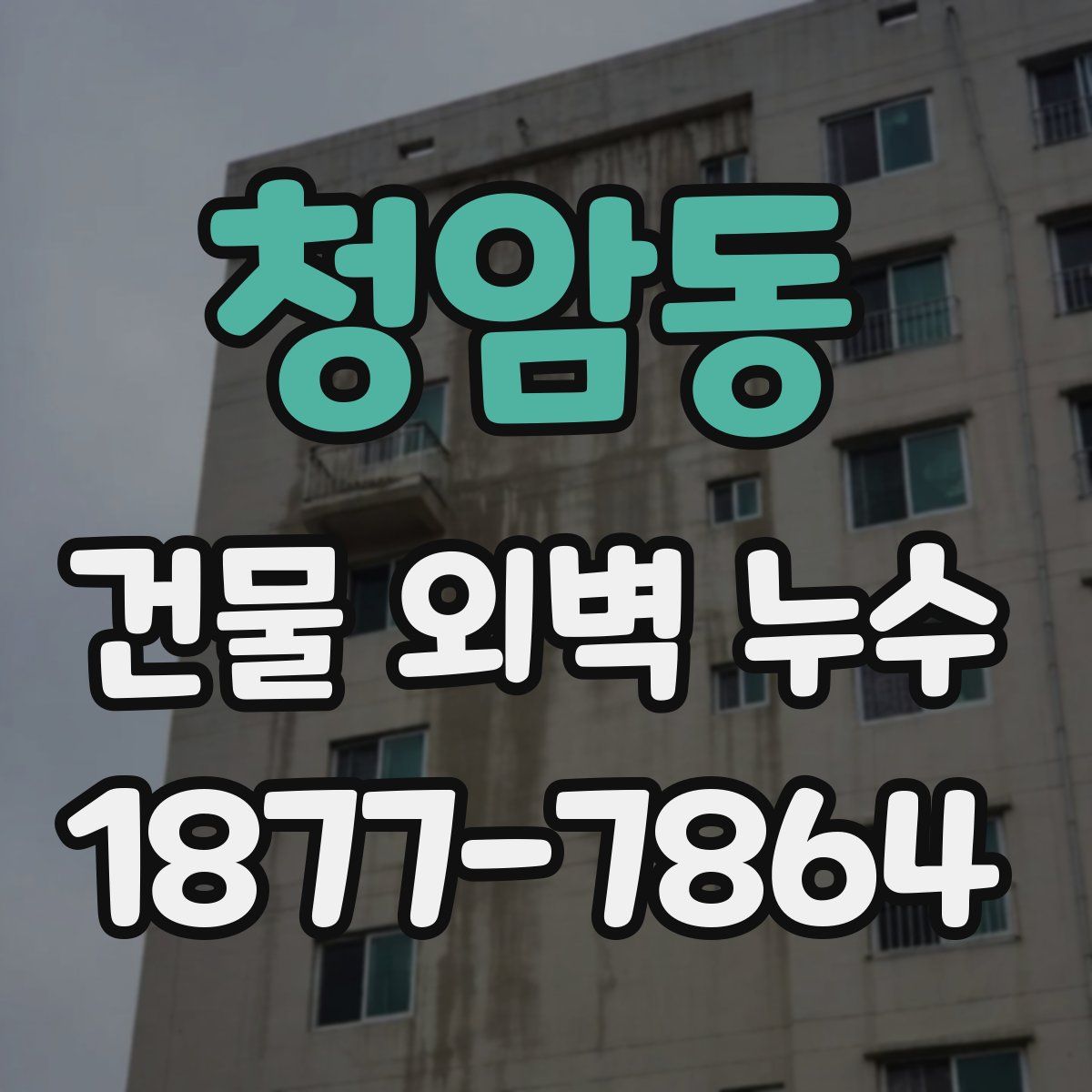 청암동 건물 외벽 누수