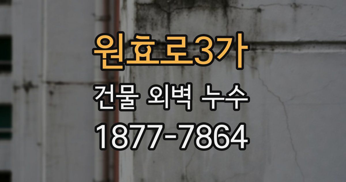 원효로3가 건물 외벽 누수