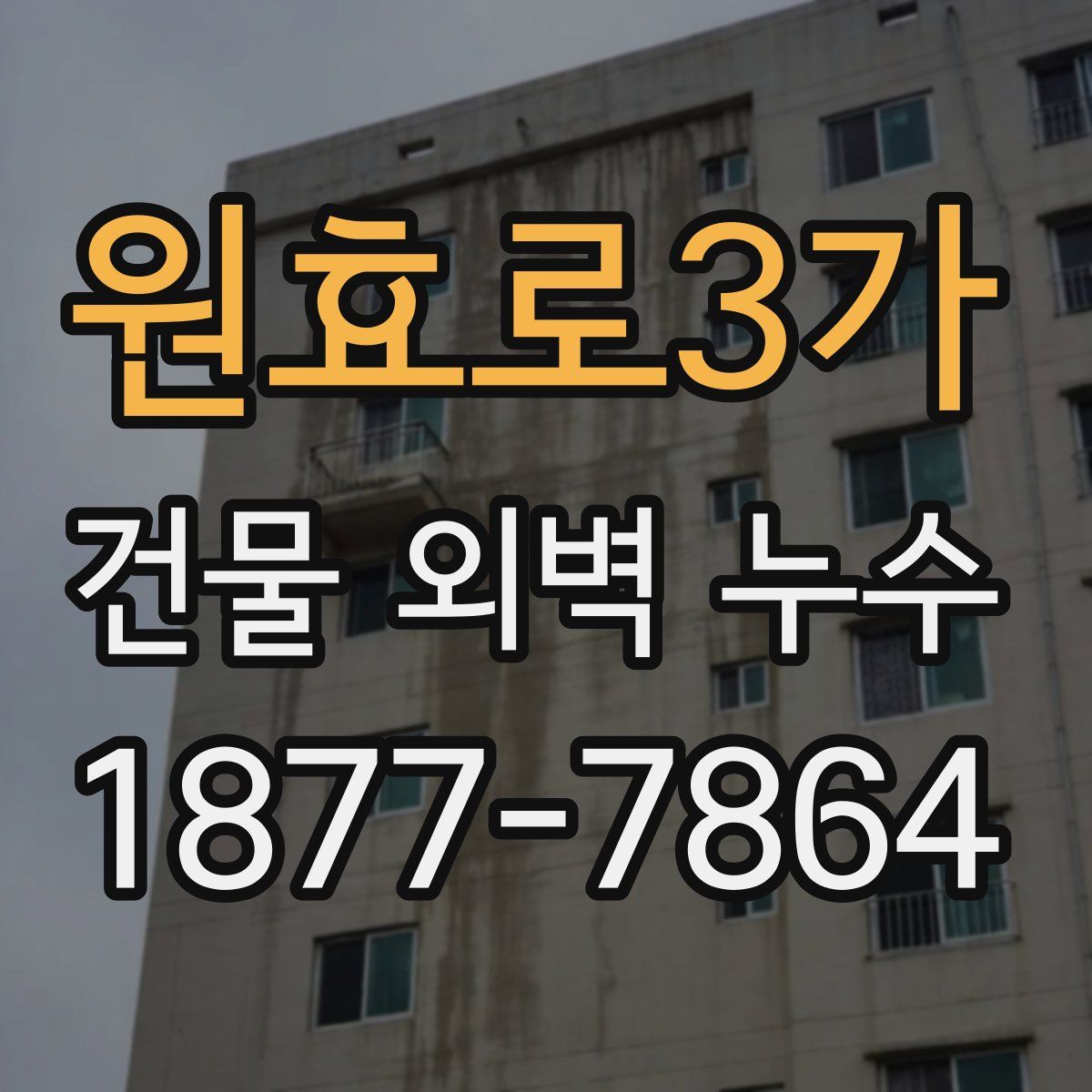 원효로3가 건물 외벽 누수