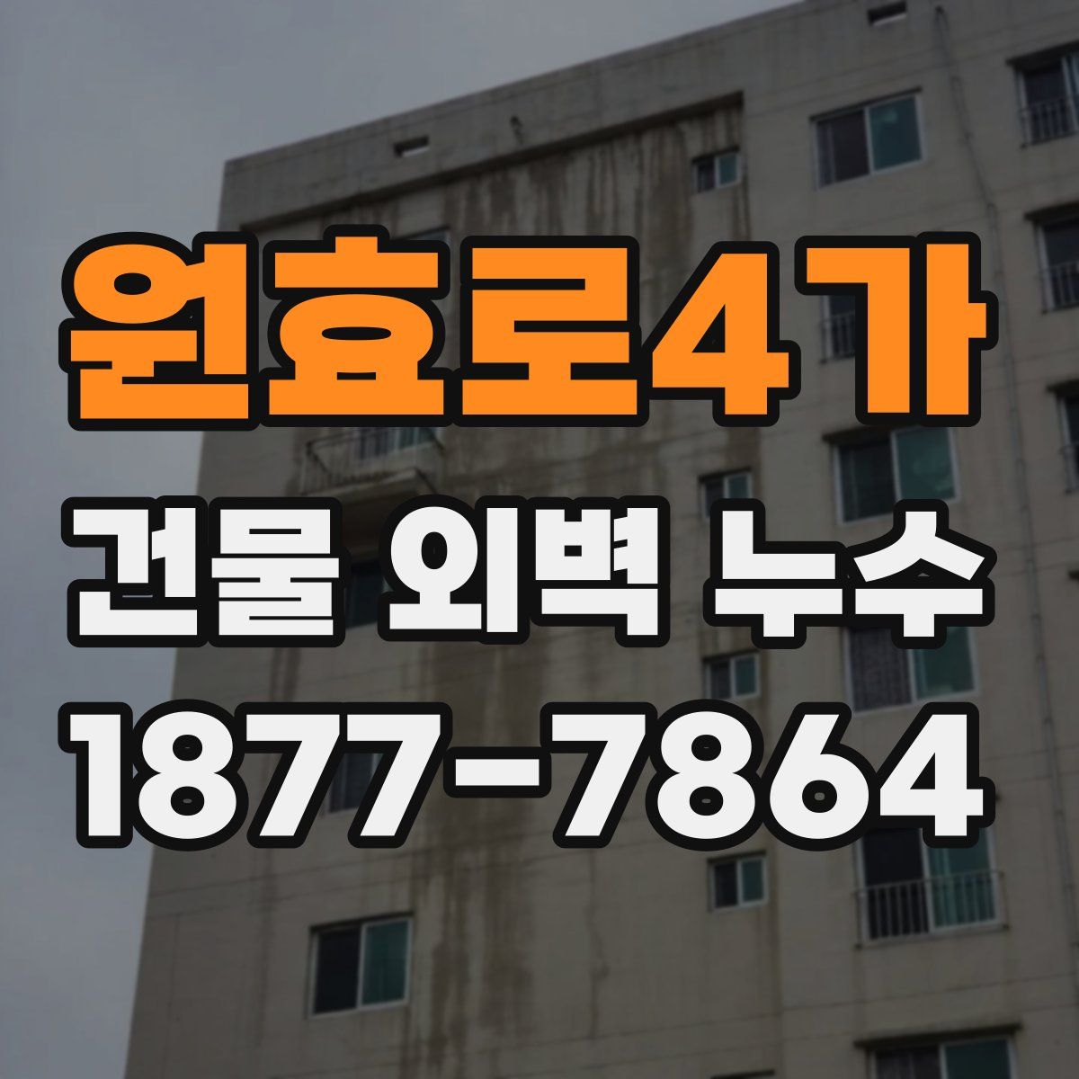 원효로4가 건물 외벽 누수