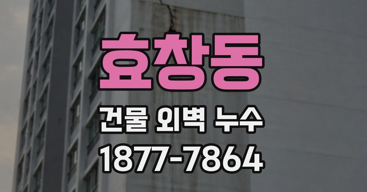 효창동 건물 외벽 누수