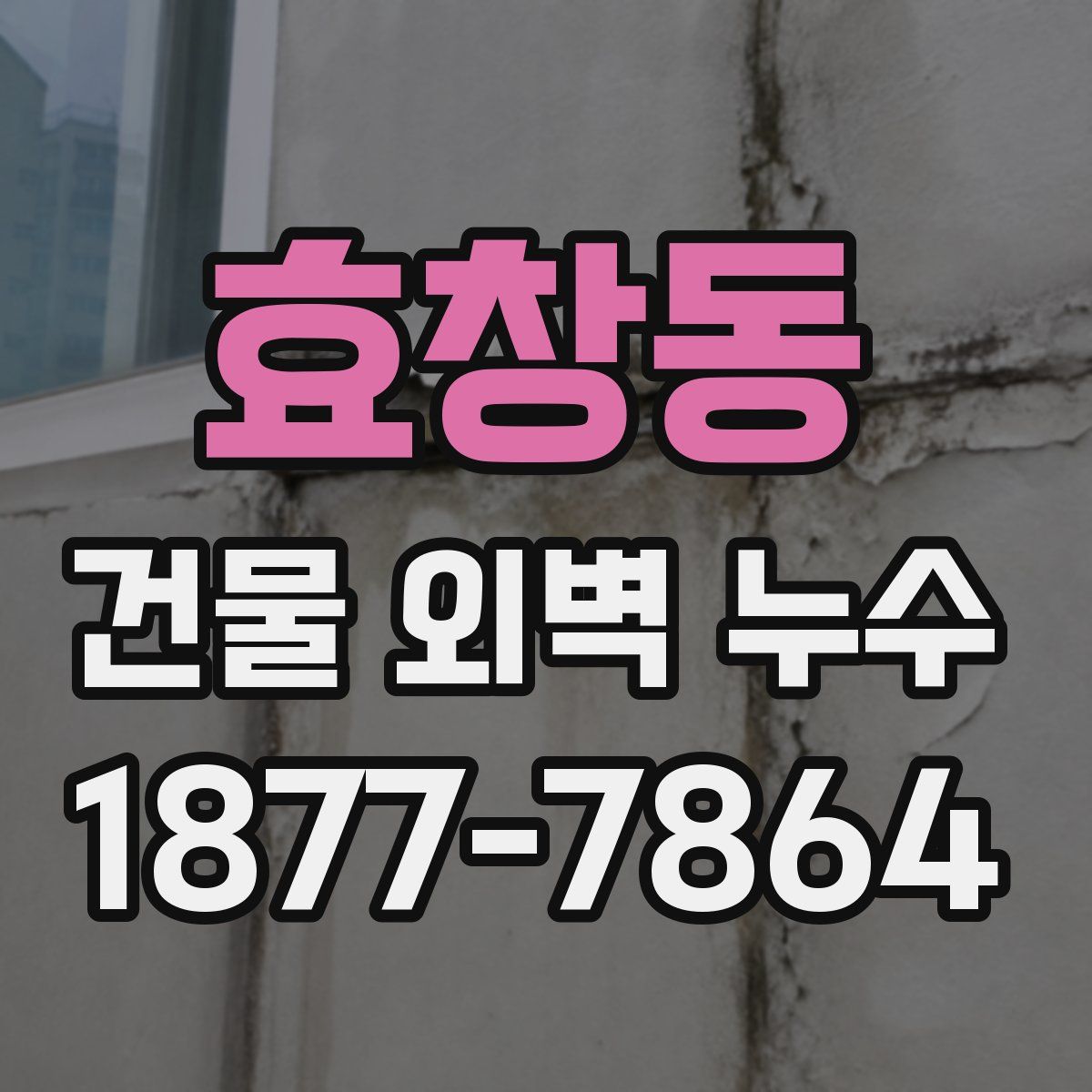 효창동 건물 외벽 누수