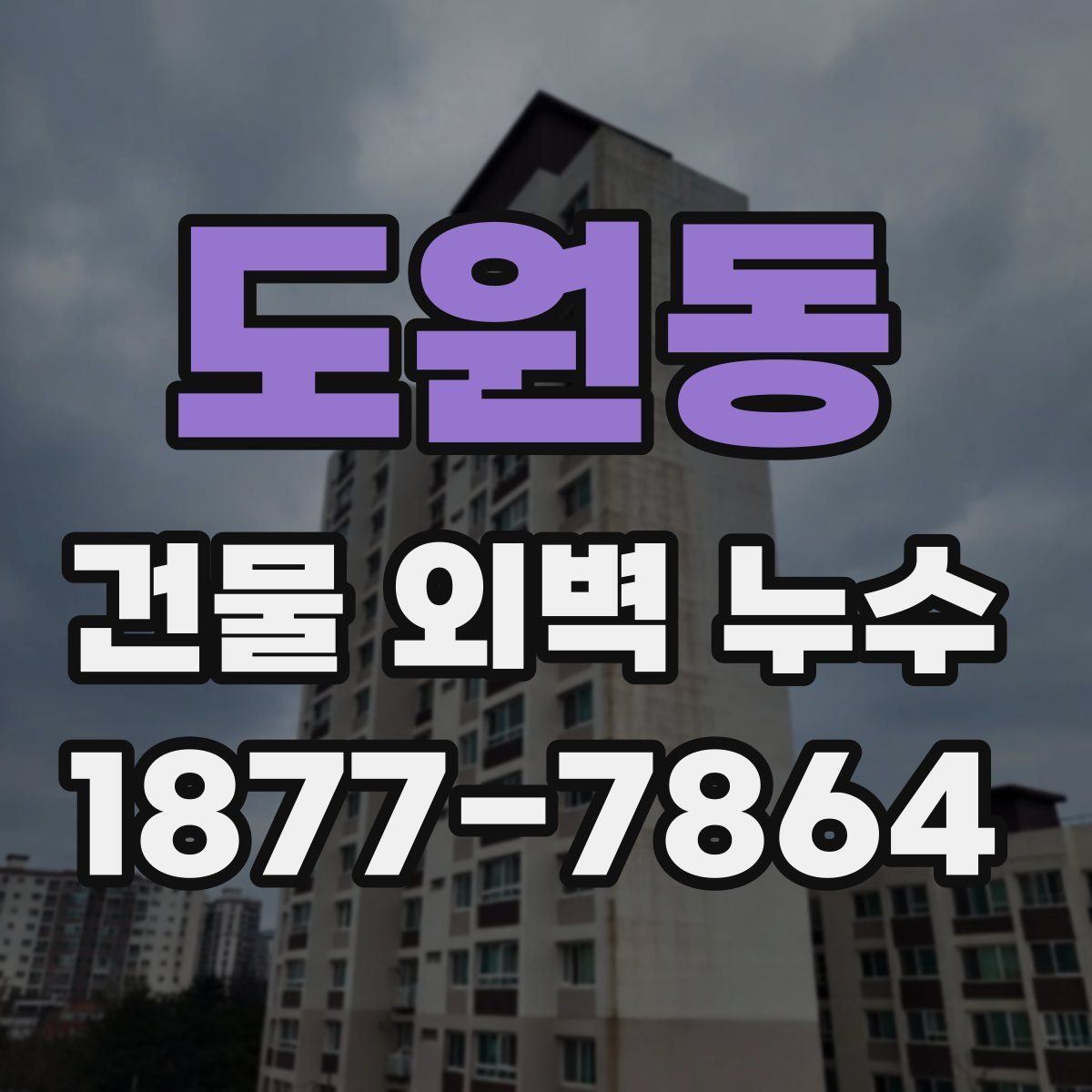 도원동 건물 외벽 누수