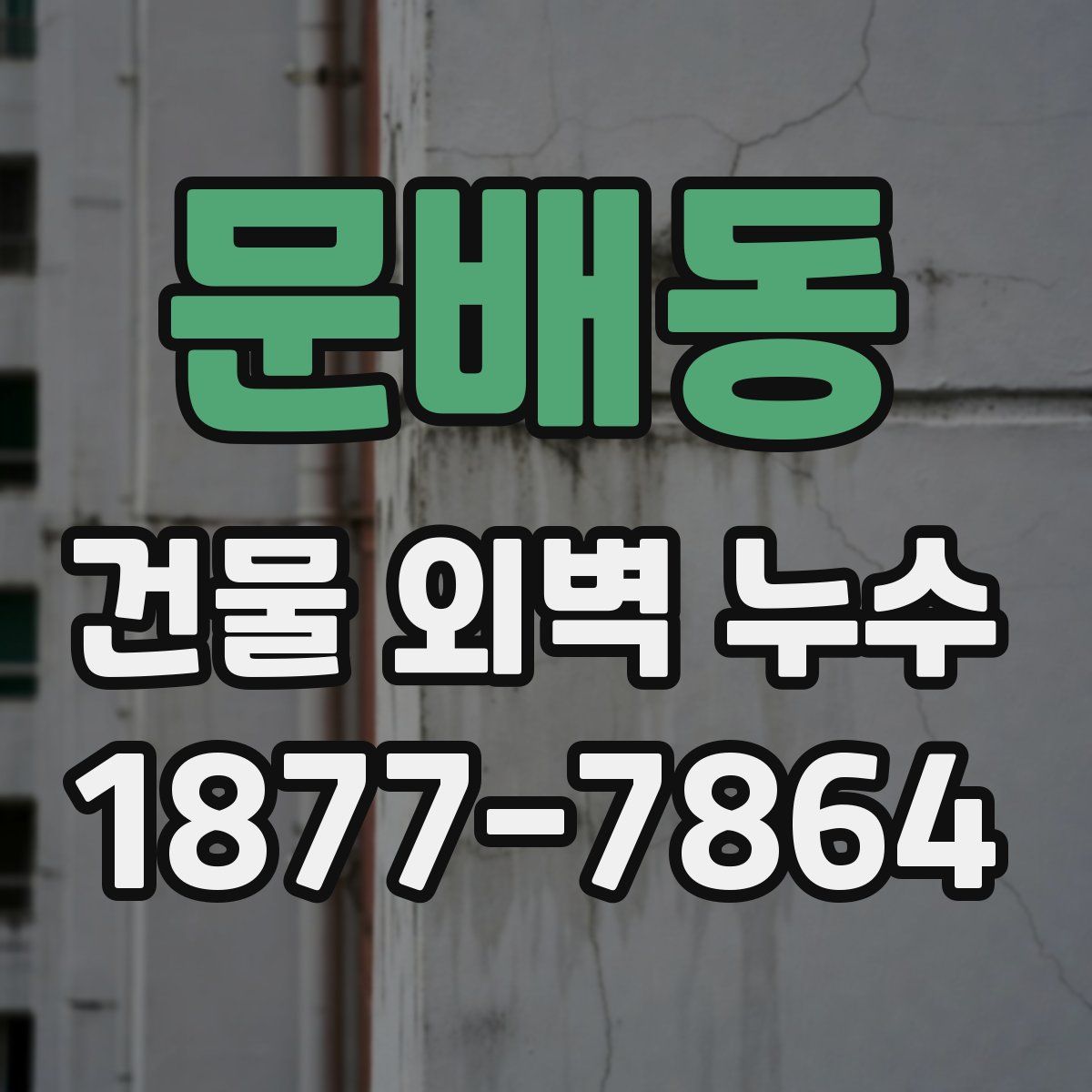 문배동 건물 외벽 누수