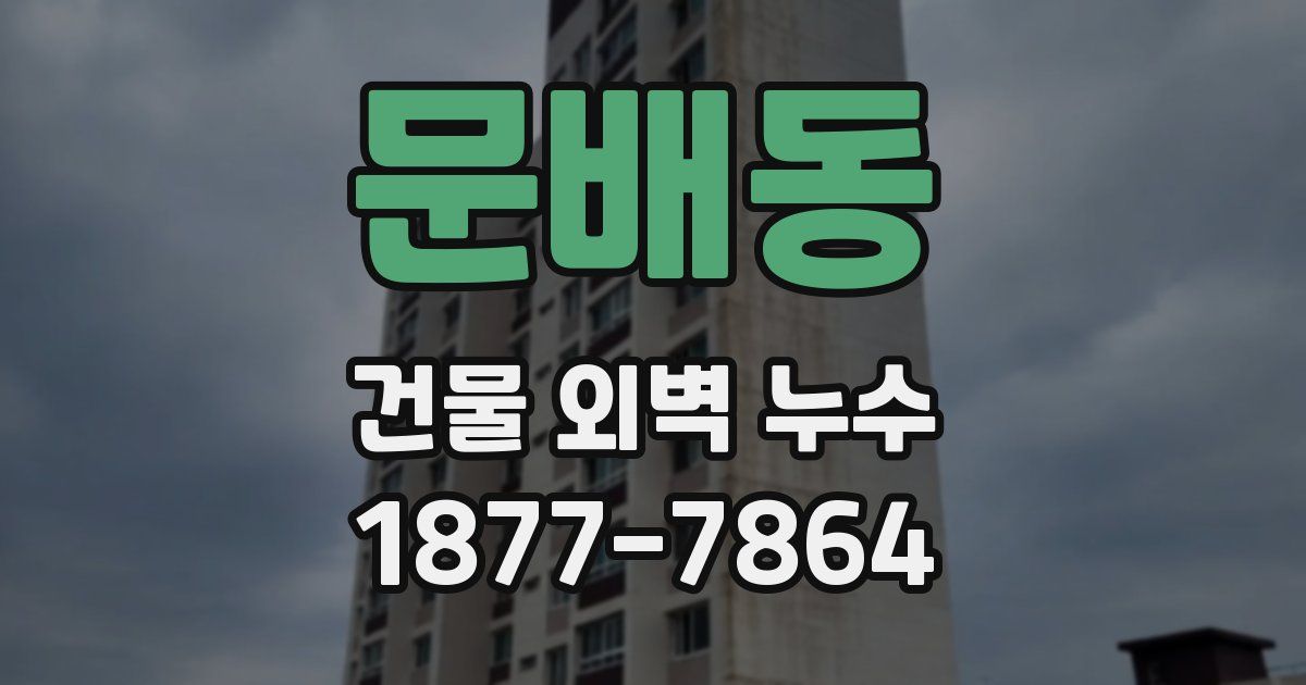 문배동 건물 외벽 누수
