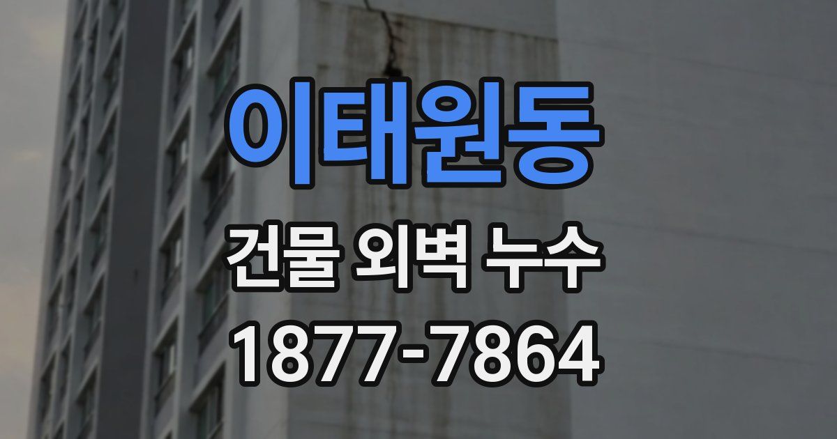 이태원동 건물 외벽 누수