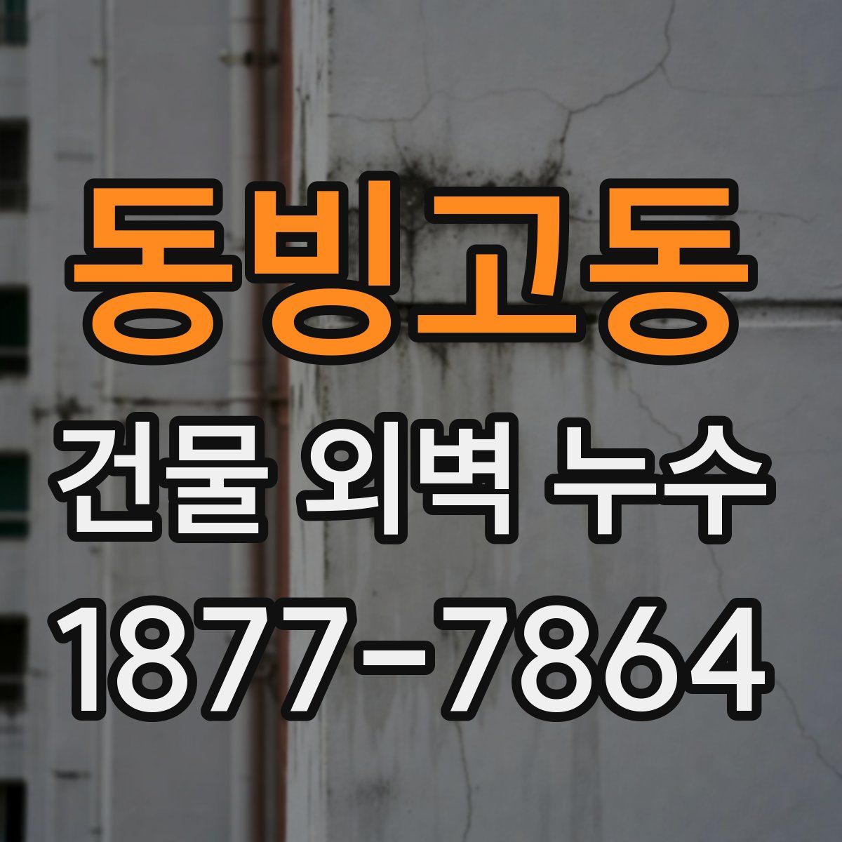 동빙고동 건물 외벽 누수