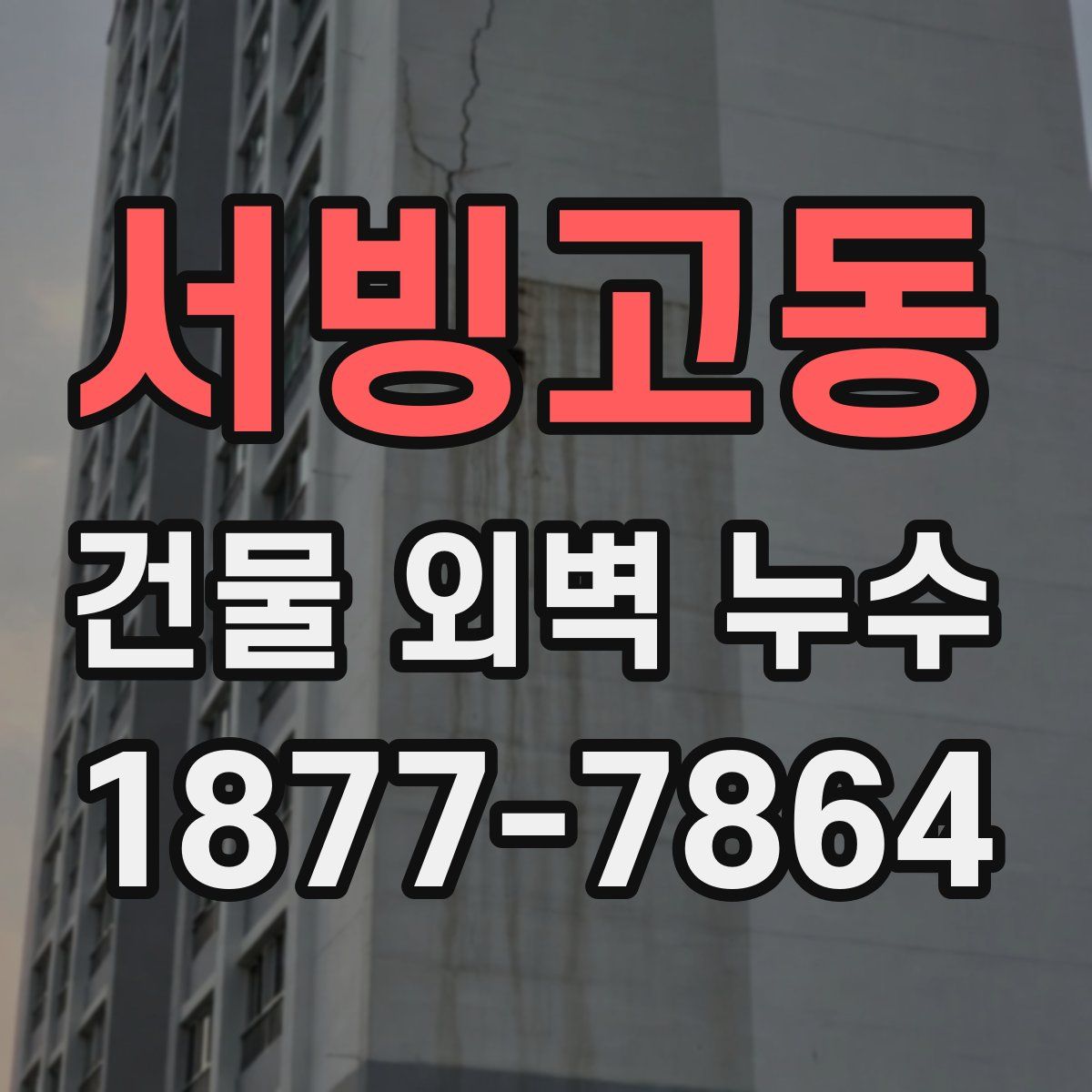 서빙고동 건물 외벽 누수