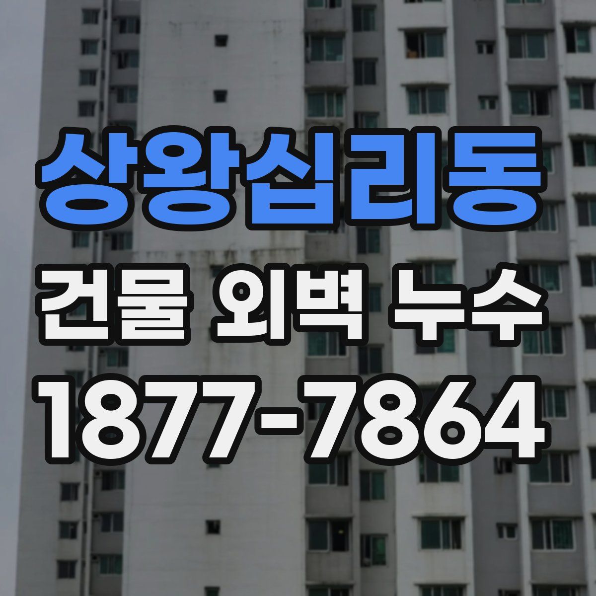 상왕십리동 건물 외벽 누수