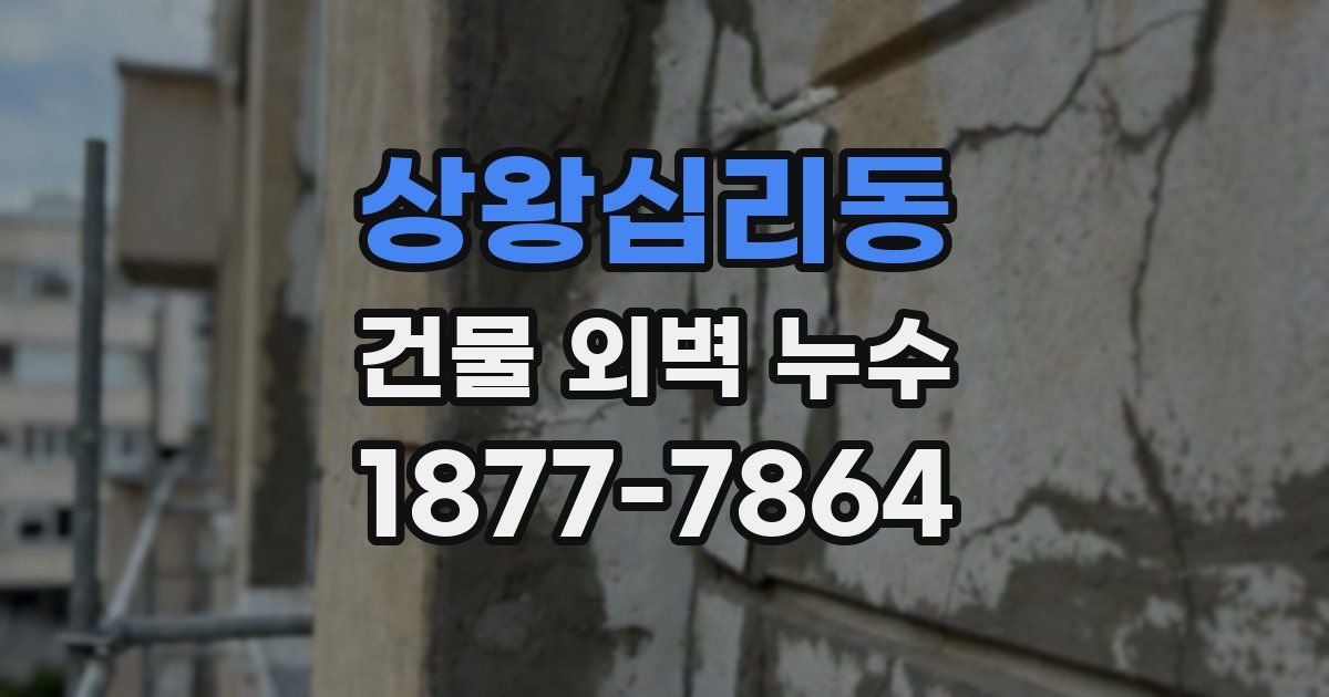 상왕십리동 건물 외벽 누수