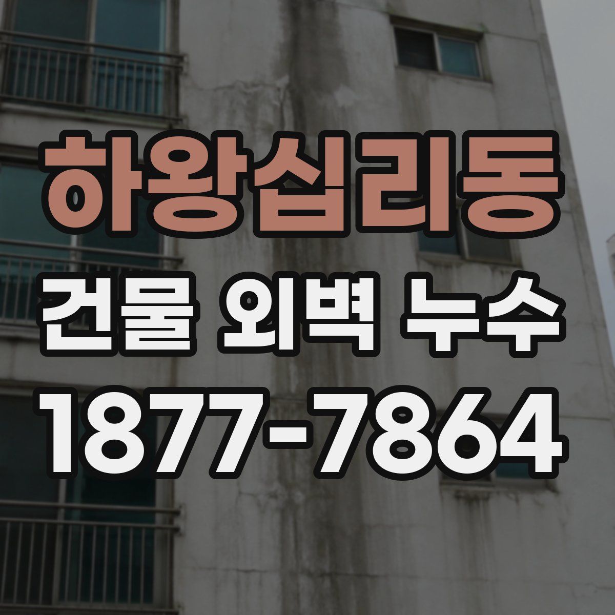 하왕십리동 건물 외벽 누수