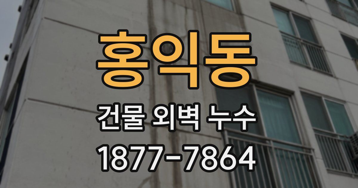 홍익동 건물 외벽 누수