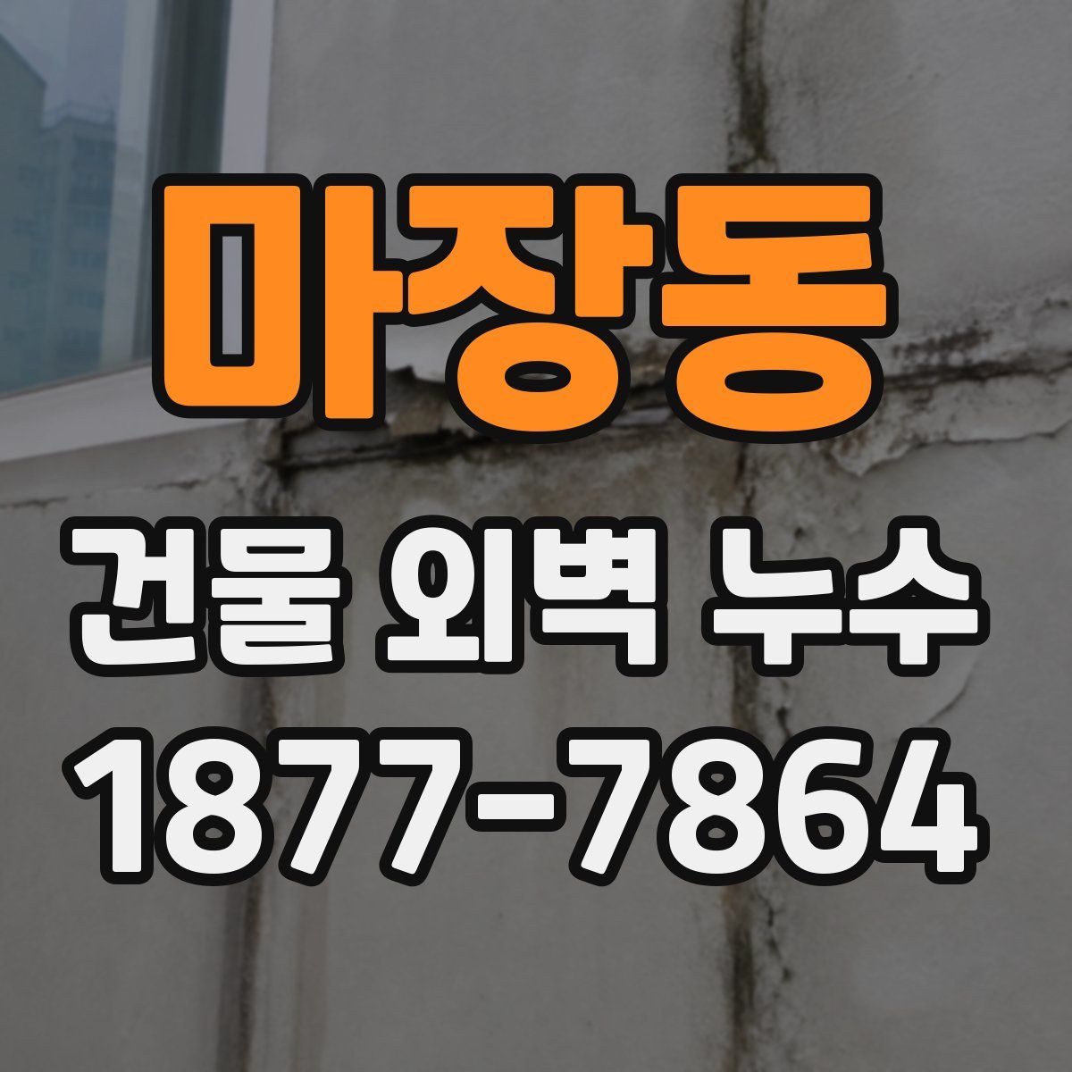 마장동 건물 외벽 누수