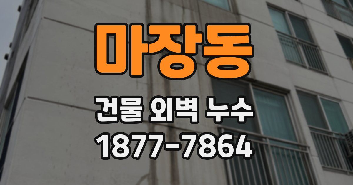 마장동 건물 외벽 누수