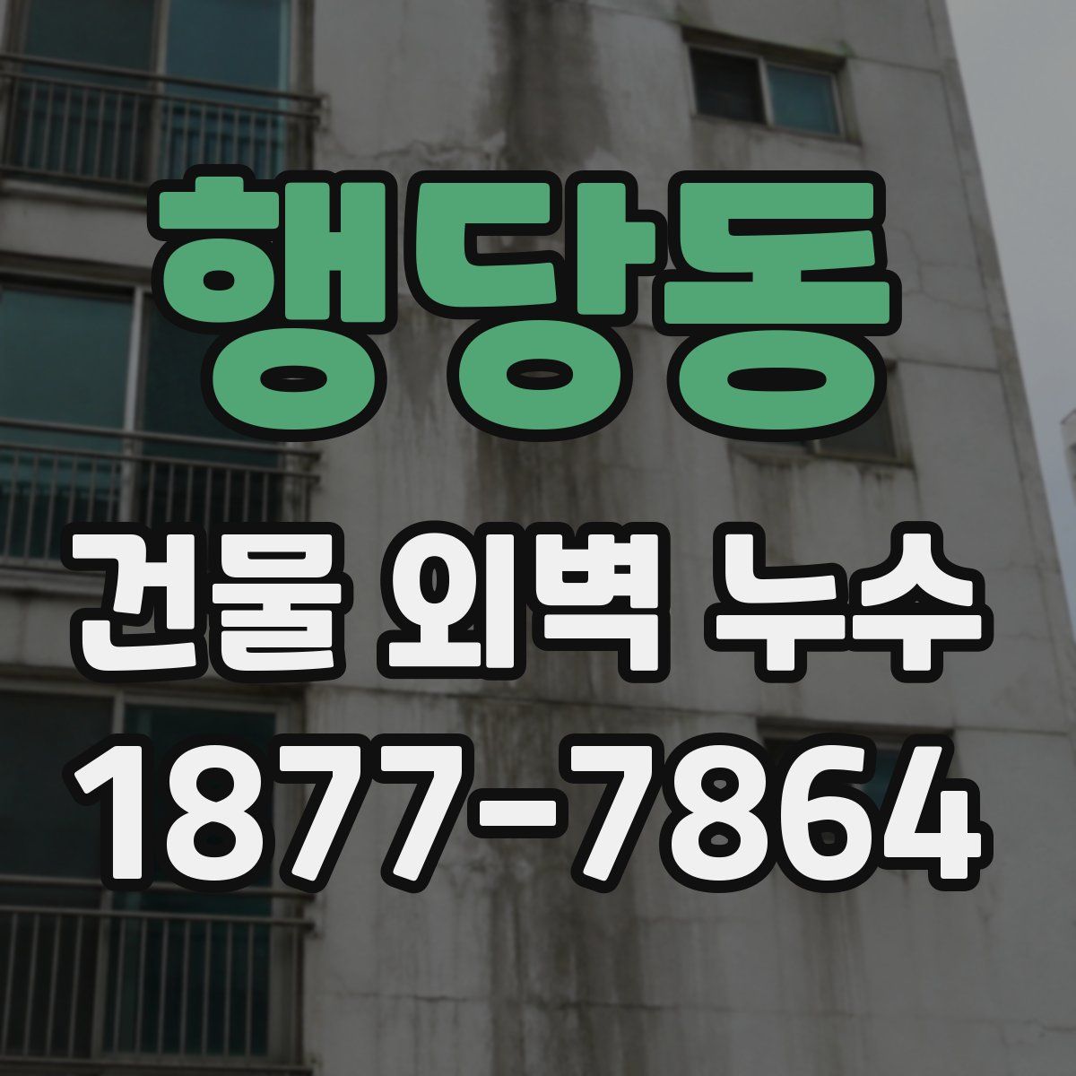 행당동 건물 외벽 누수