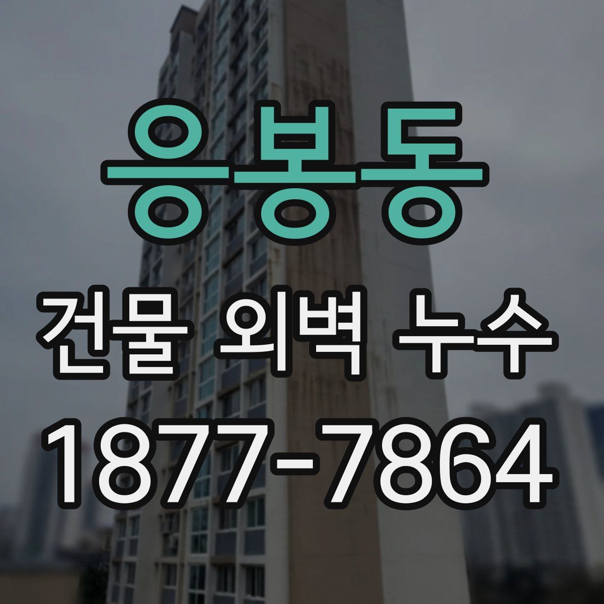 응봉동 건물 외벽 누수