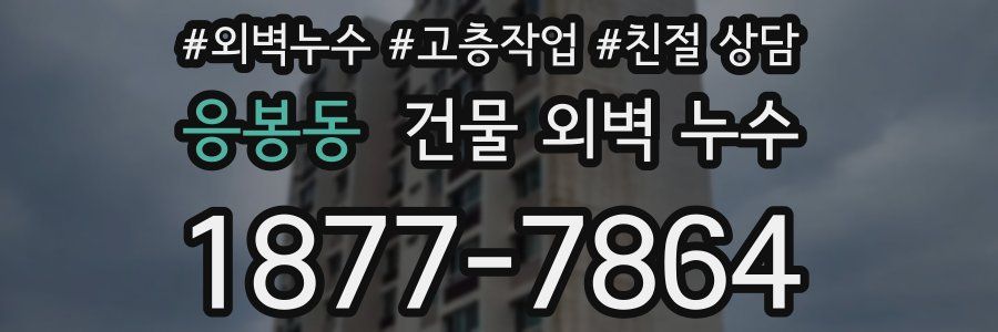 응봉동 건물 외벽 누수