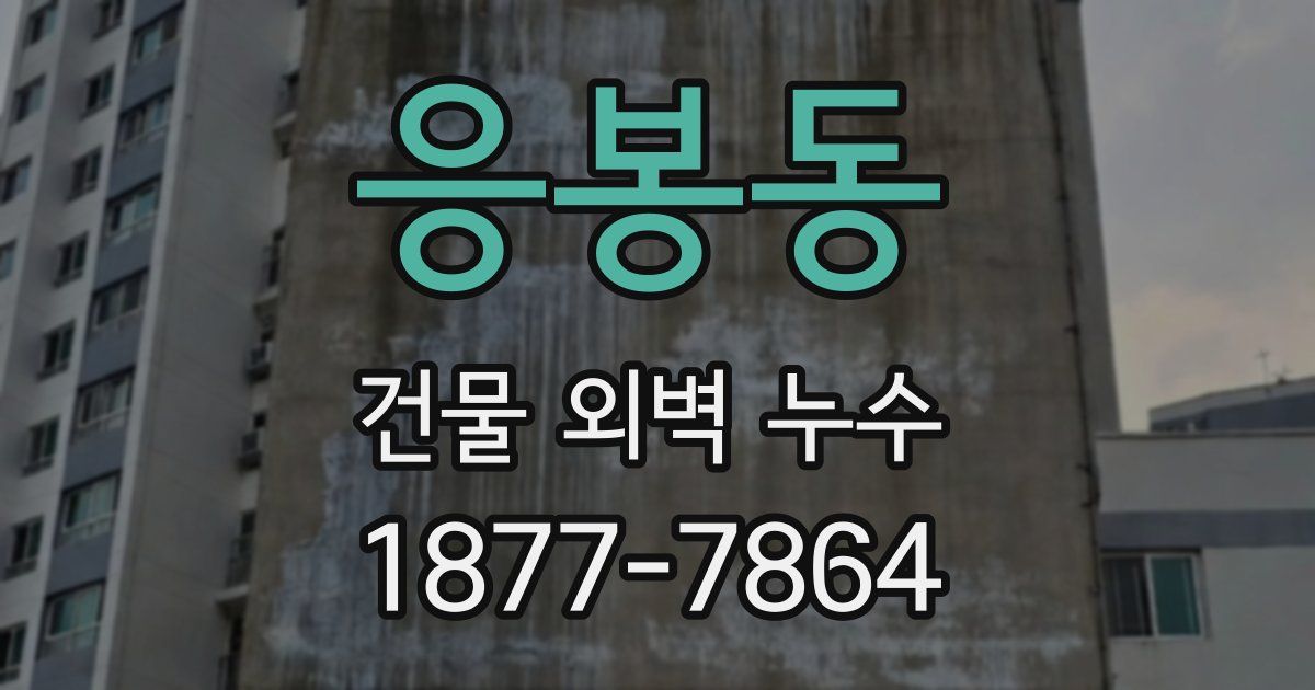 응봉동 건물 외벽 누수