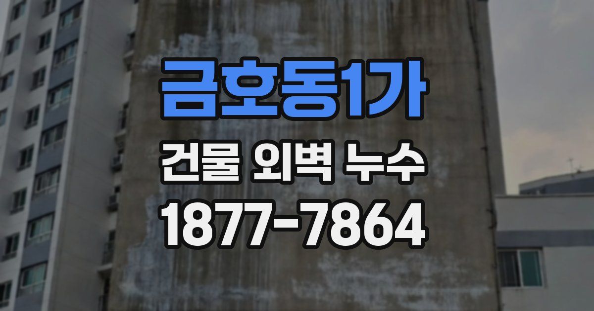 금호동1가 건물 외벽 누수