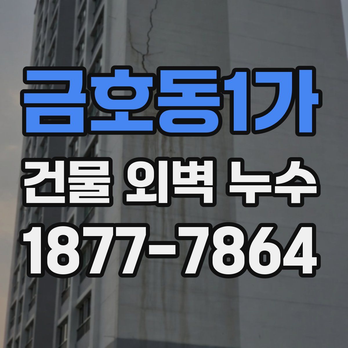 금호동1가 건물 외벽 누수