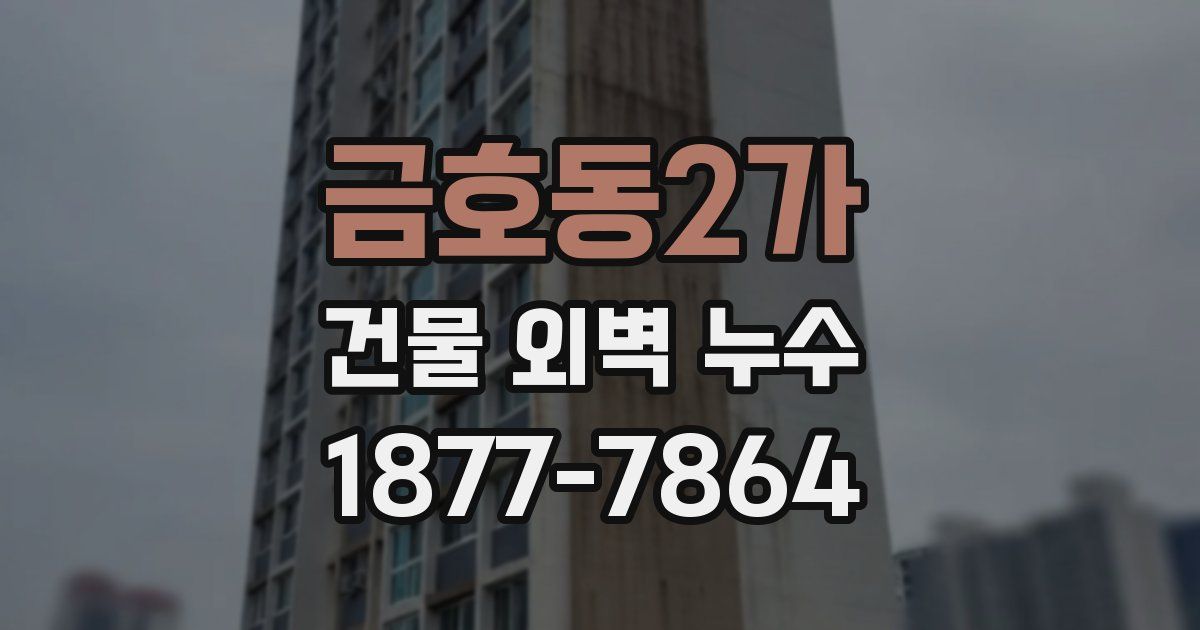 금호동2가 건물 외벽 누수