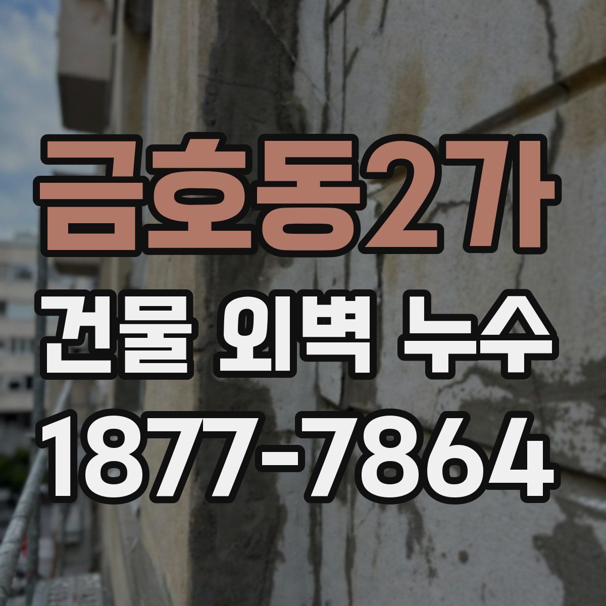 금호동2가 건물 외벽 누수
