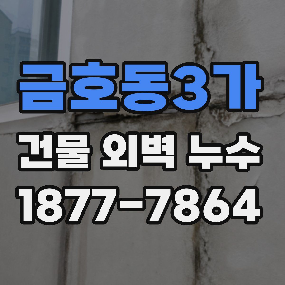 금호동3가 건물 외벽 누수