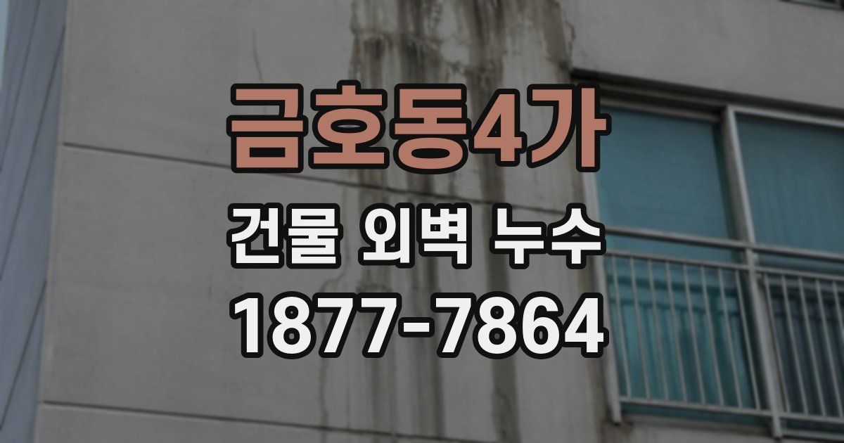 금호동4가 건물 외벽 누수