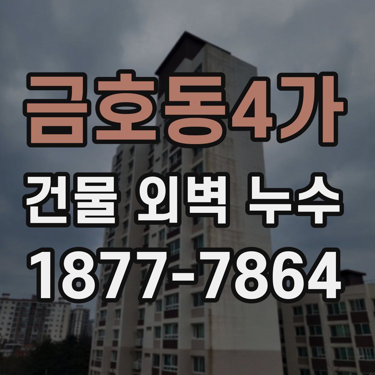 금호동4가 건물 외벽 누수