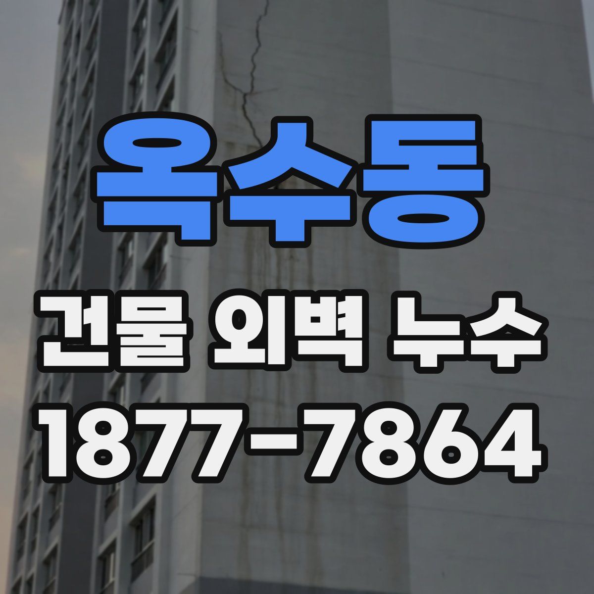 옥수동 건물 외벽 누수