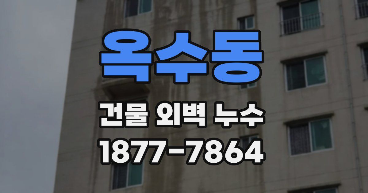 옥수동 건물 외벽 누수