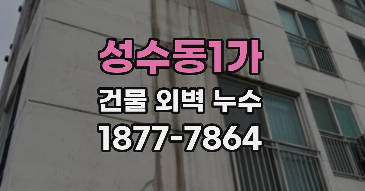 성수동1가 건물 외벽 누수