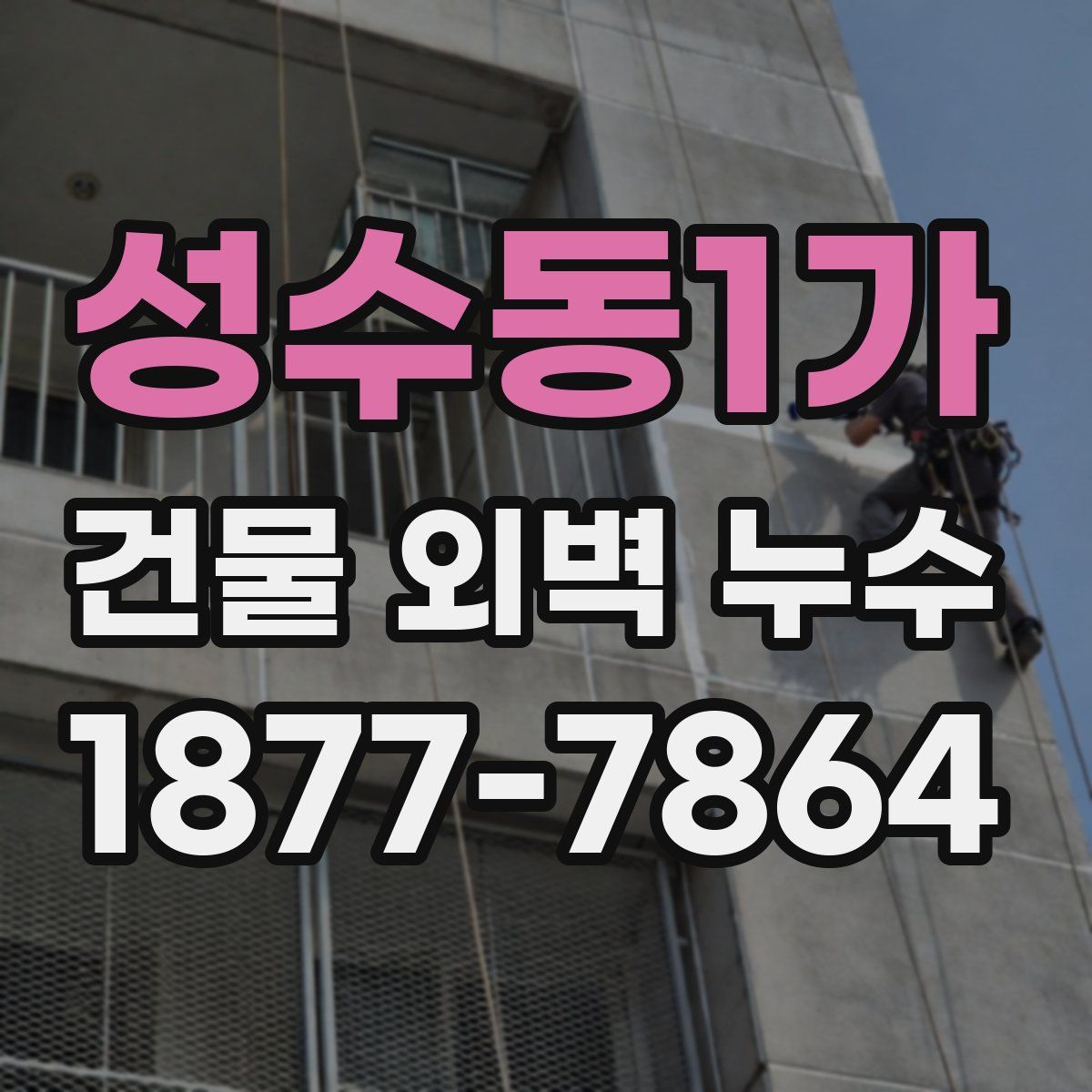 성수동1가 건물 외벽 누수