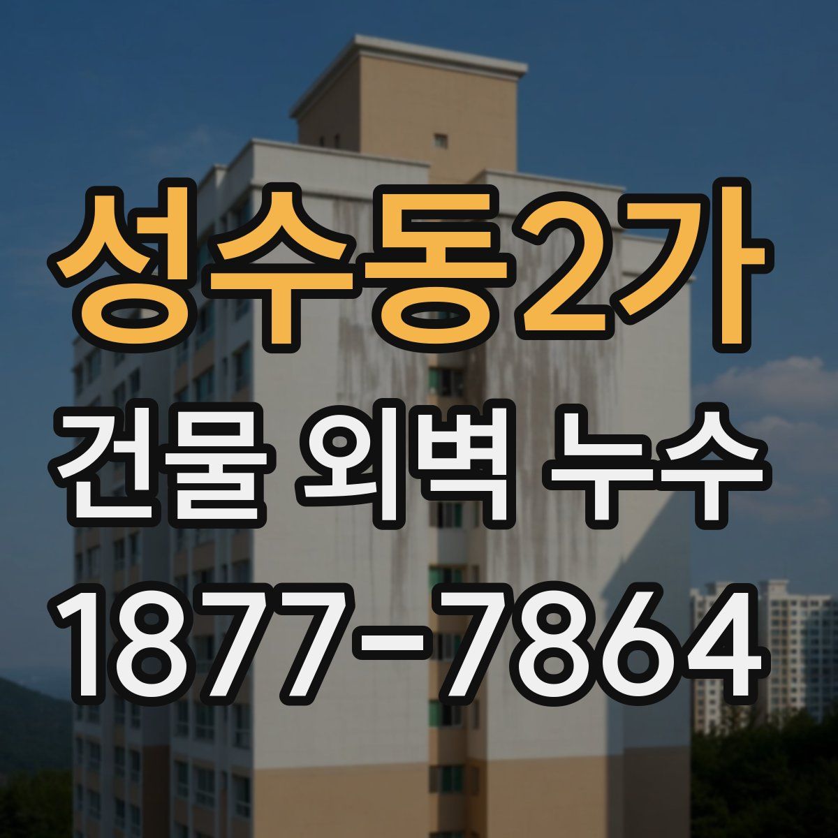성수동2가 건물 외벽 누수