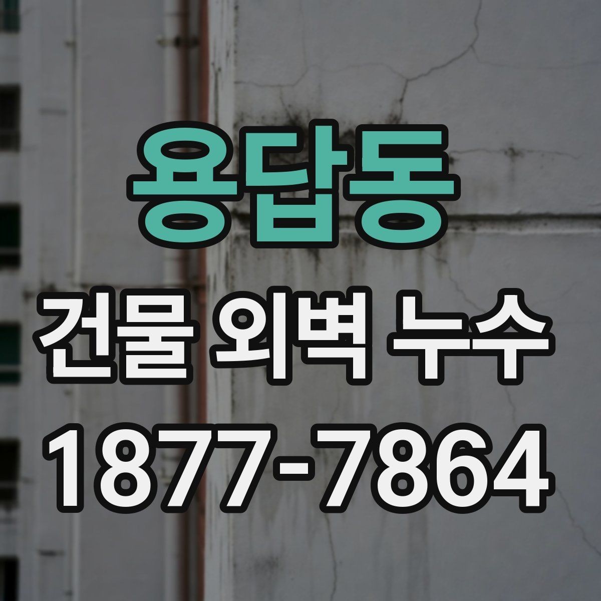 용답동 건물 외벽 누수 보수 재료 선택 시 기준