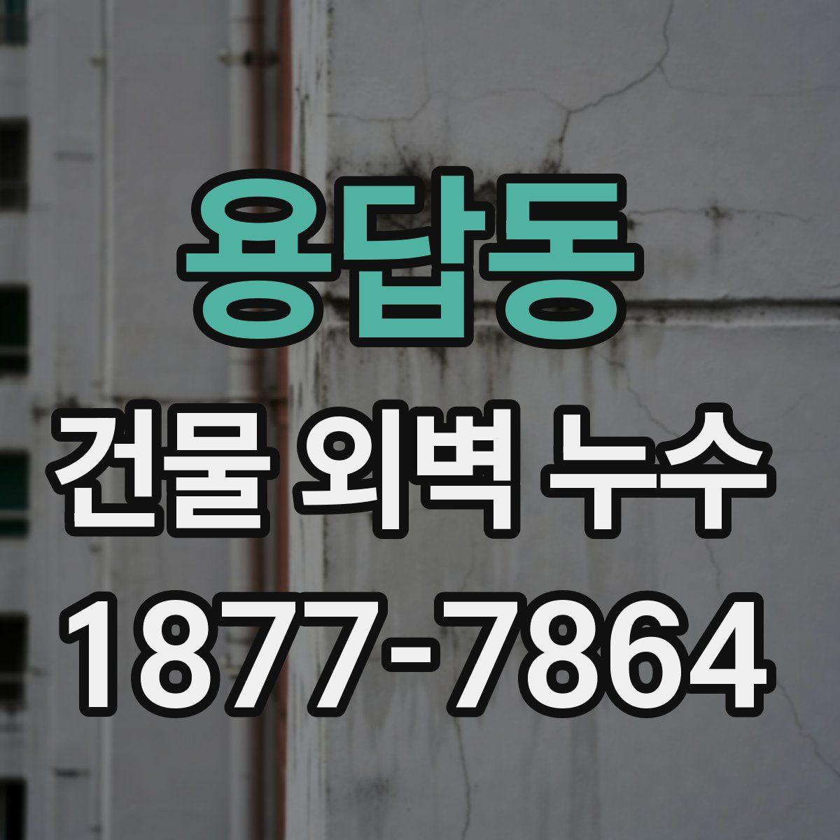 용답동 건물 외벽 누수