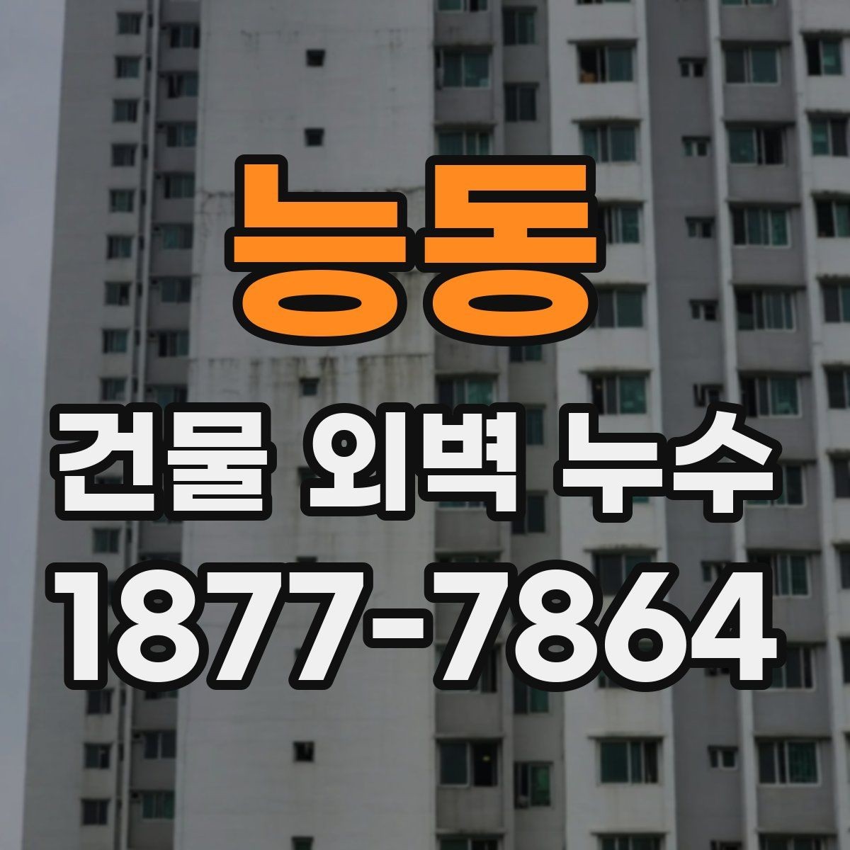 능동 건물 외벽 누수 보수 계획을 세울 때 고려할 점