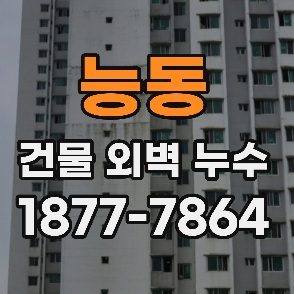 능동 건물 외벽 누수