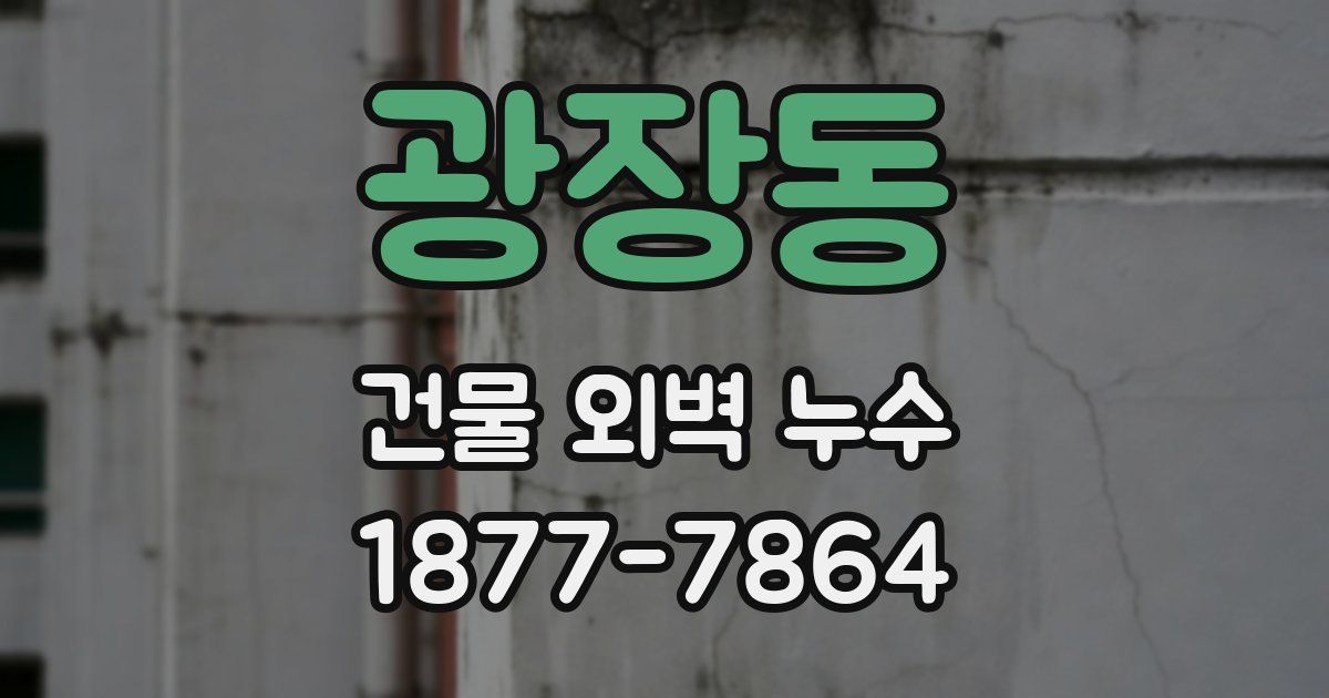 광장동 건물 외벽 누수