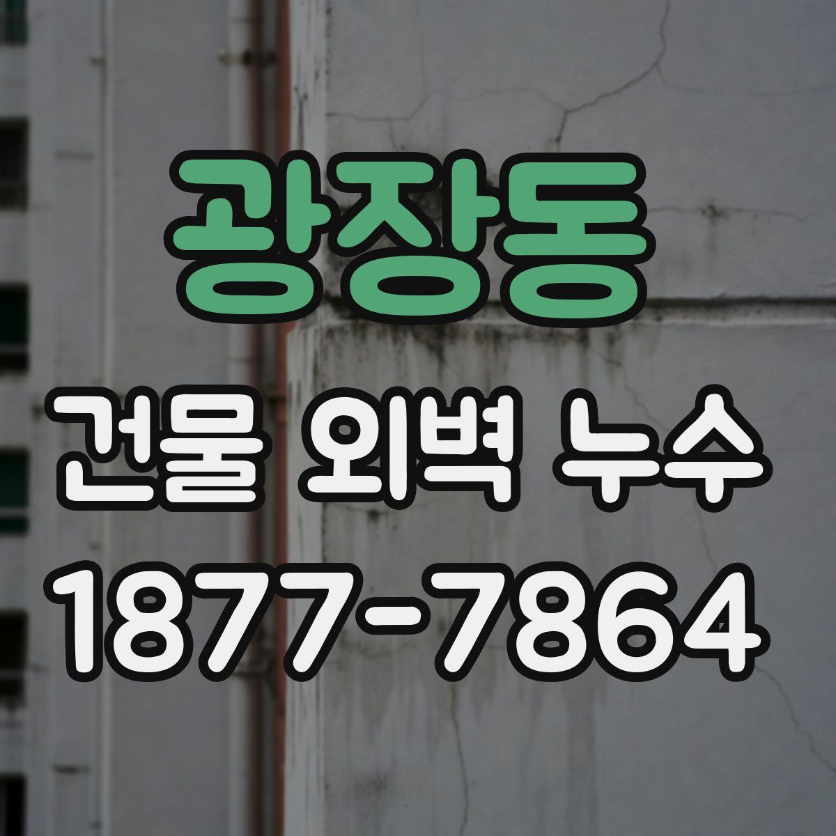 광장동 건물 외벽 누수