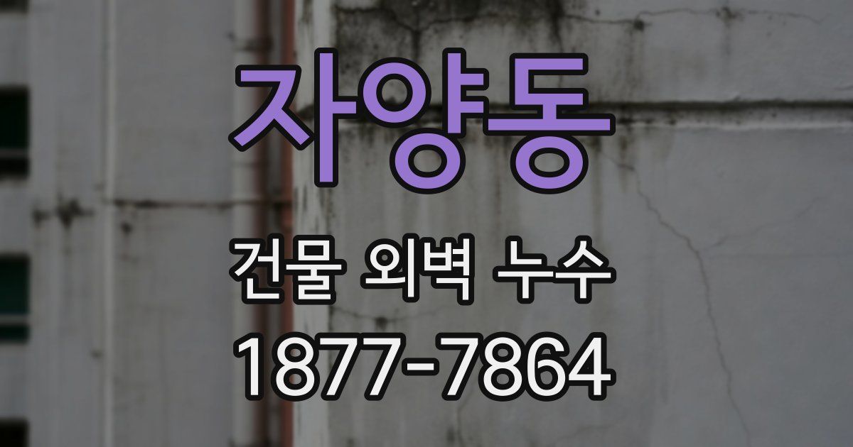 자양동 건물 외벽 누수