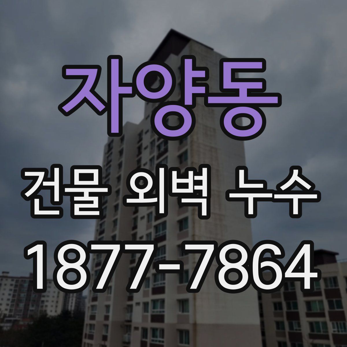 자양동 건물 외벽 누수