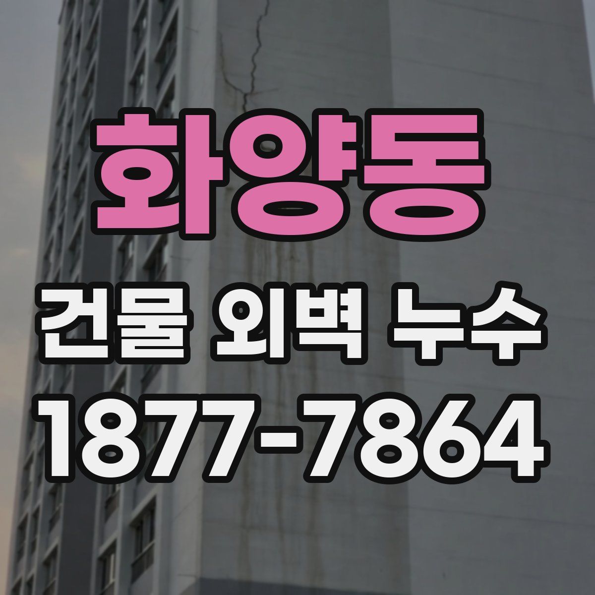 화양동 건물 외벽 누수