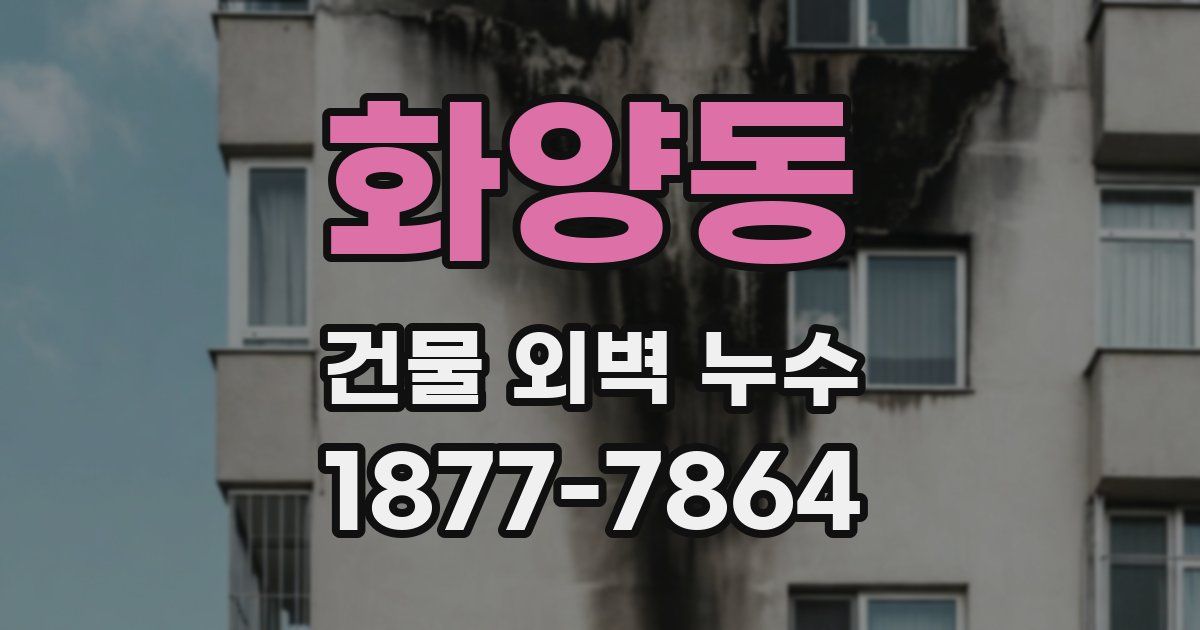 화양동 건물 외벽 누수