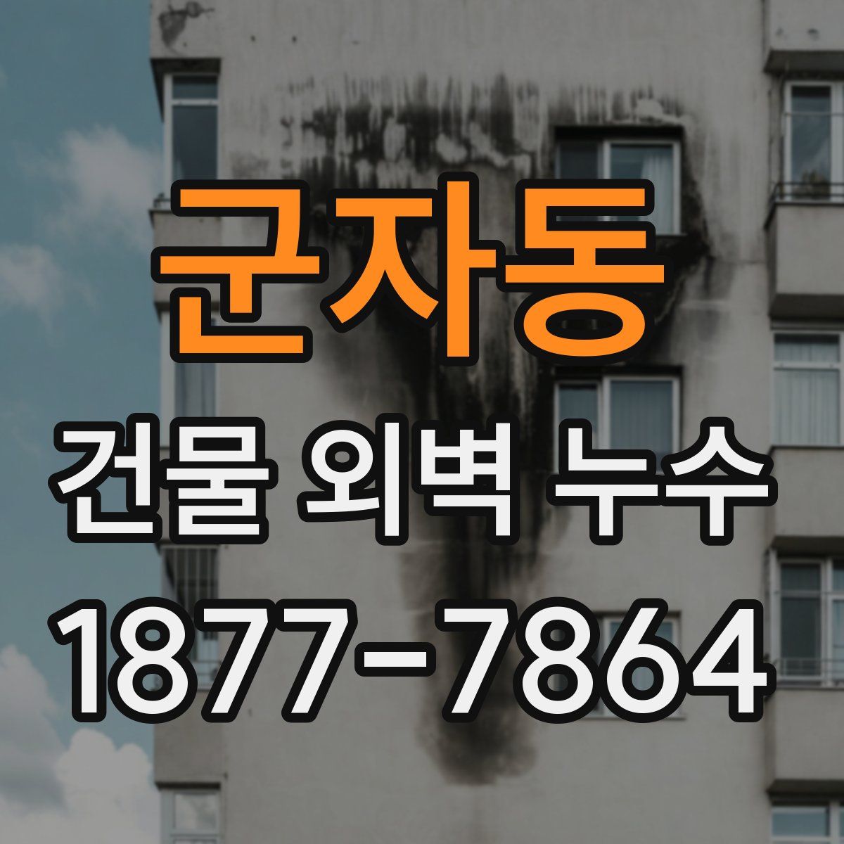 군자동 건물 외벽 누수