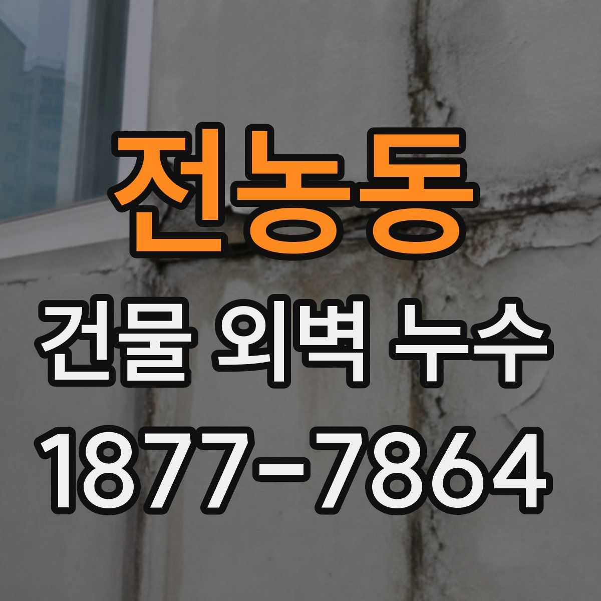 전농동 건물 외벽 누수