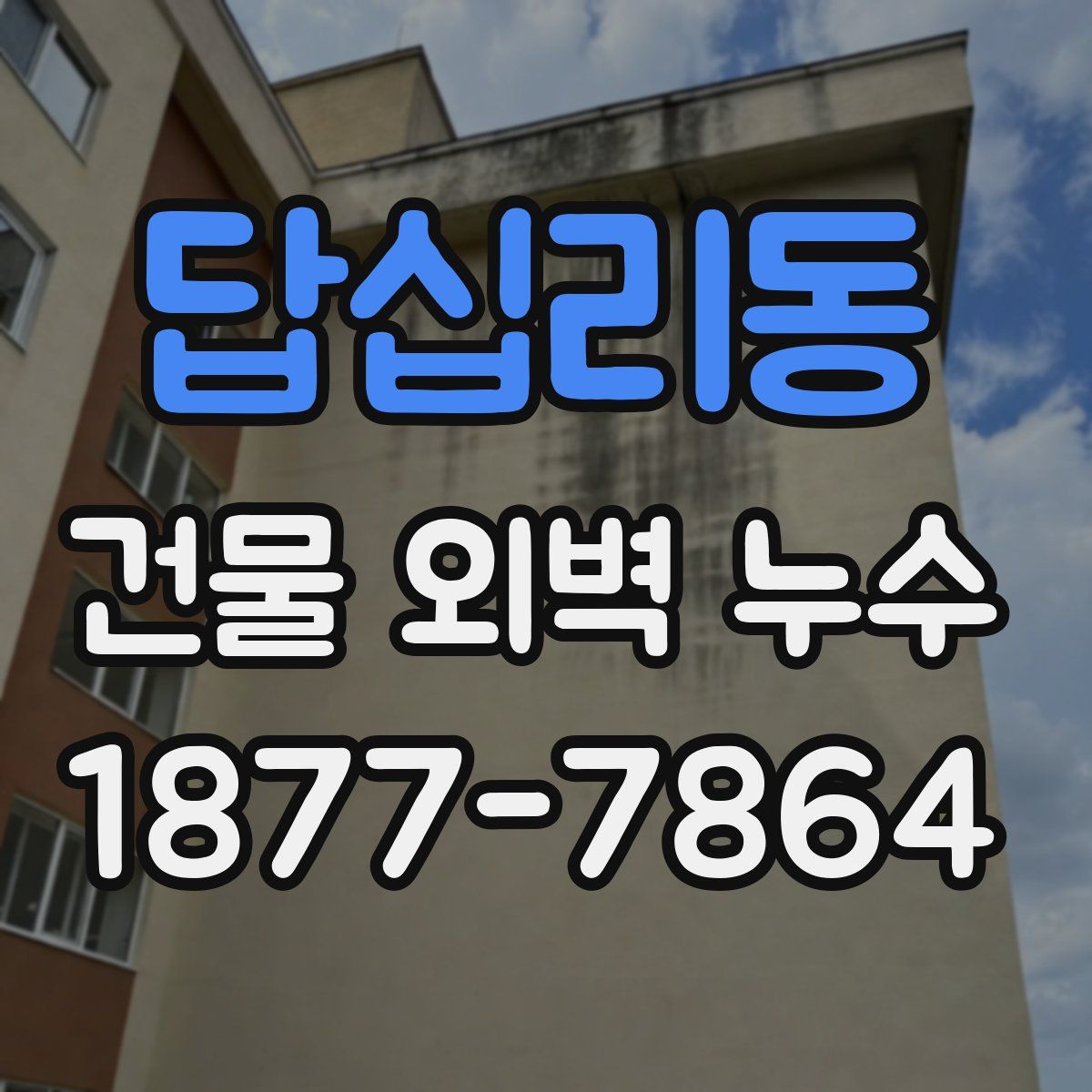 답십리동 건물 외벽 누수