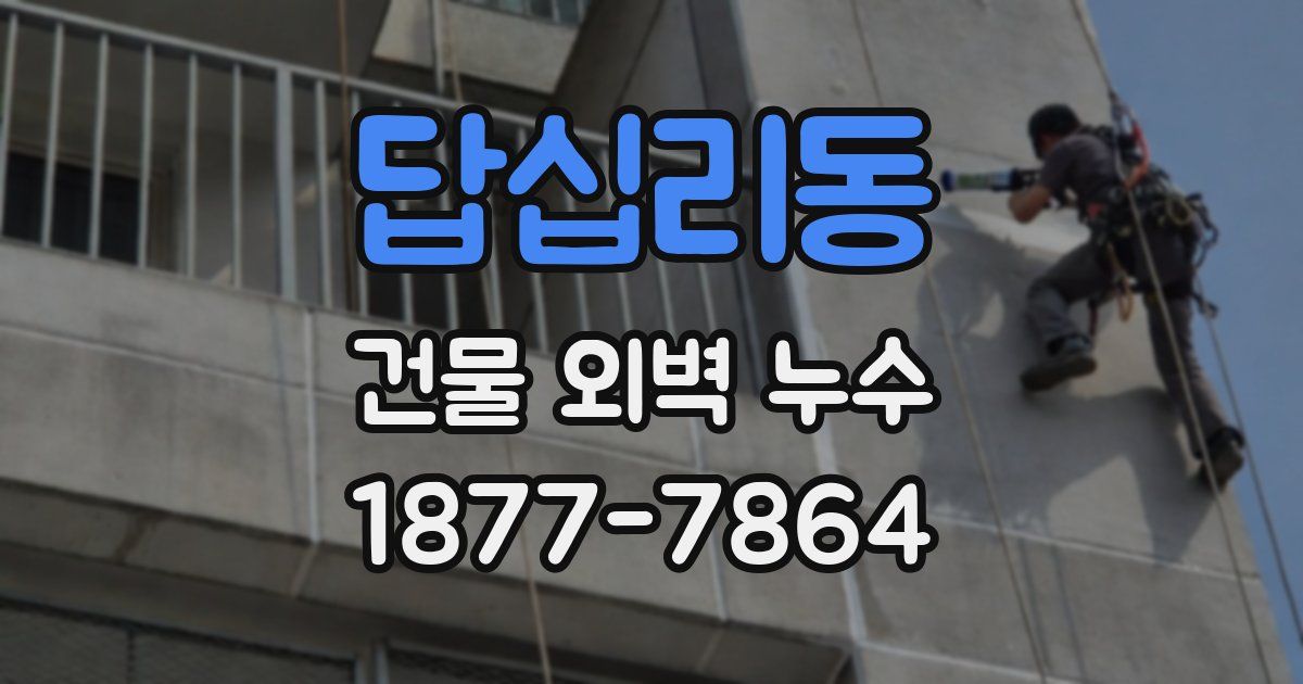답십리동 건물 외벽 누수